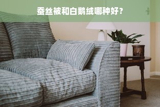 蚕丝被和白鹅绒哪种好？