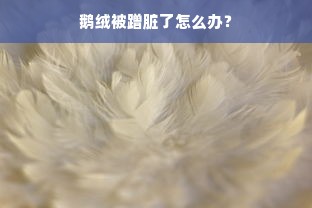 鹅绒被蹭脏了怎么办？