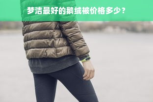 梦洁最好的鹅绒被价格多少？