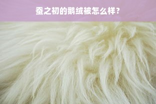 蚕之初的鹅绒被怎么样？