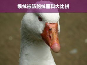 鹅绒被防跑绒面料大比拼