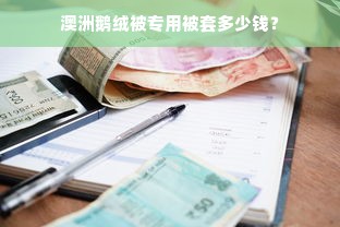 澳洲鹅绒被专用被套多少钱？