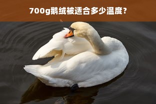 700g鹅绒被适合多少温度？