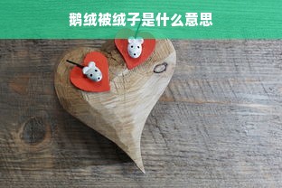 鹅绒被绒子是什么意思