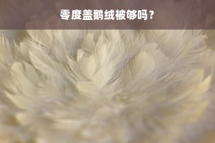 零度盖鹅绒被够吗？