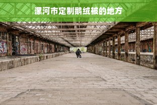 漯河市定制鹅绒被的地方