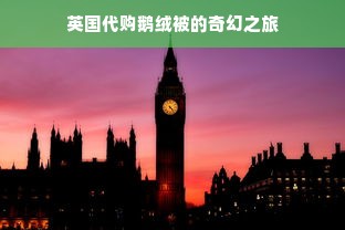 英国代购鹅绒被的奇幻之旅