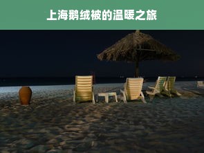 上海鹅绒被的温暖之旅