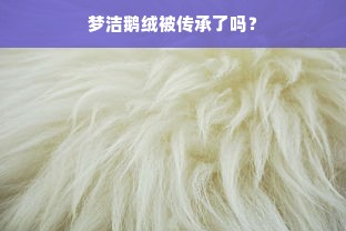 梦洁鹅绒被传承了吗？