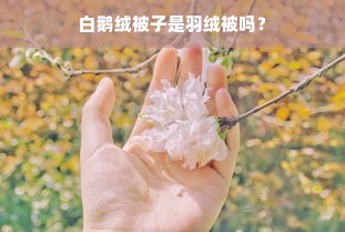 白鹅绒被子是羽绒被吗？