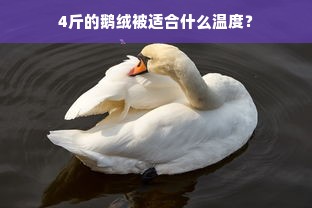 4斤的鹅绒被适合什么温度？