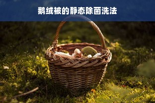 鹅绒被的静态除菌洗法