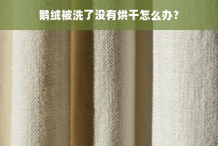 鹅绒被洗了没有烘干怎么办？