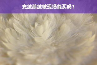 充绒鹅绒被现场能买吗？