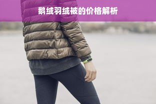 鹅绒羽绒被的价格解析