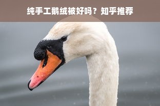 纯手工鹅绒被好吗？知乎推荐