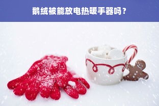 鹅绒被能放电热暖手器吗？