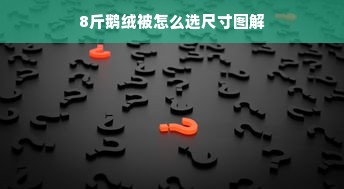 8斤鹅绒被怎么选尺寸图解