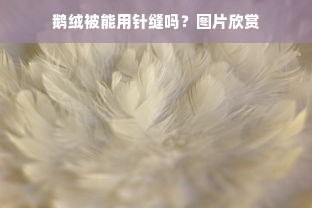 鹅绒被能用针缝吗？图片欣赏