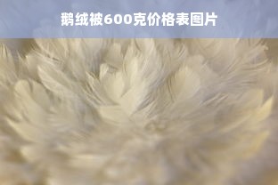 鹅绒被600克价格表图片