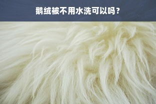 鹅绒被不用水洗可以吗？