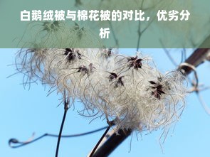 白鹅绒被与棉花被的对比，优劣分析