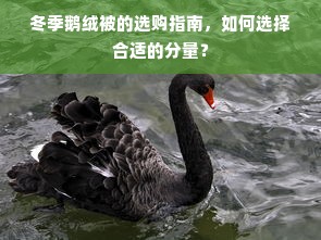 冬季鹅绒被的选购指南，如何选择合适的分量？