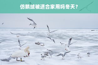 仿鹅绒被适合家用吗冬天？