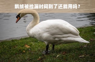 鹅绒被捡漏时间到了还能用吗？