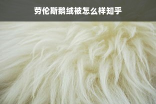 劳伦斯鹅绒被怎么样知乎