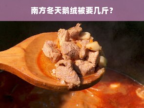 南方冬天鹅绒被要几斤？