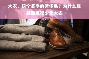 大衣，这个冬季的奢侈品？为什么服装品牌很少卖大衣