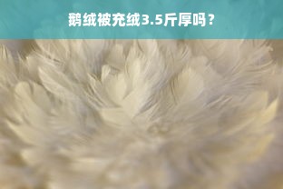 鹅绒被充绒3.5斤厚吗？