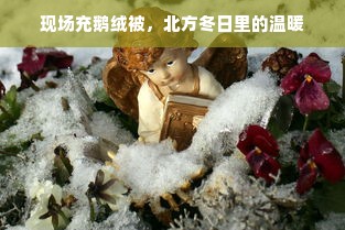 现场充鹅绒被，北方冬日里的温暖