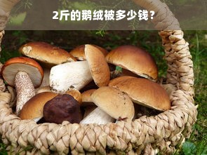 2斤的鹅绒被多少钱？