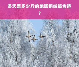 冬天盖多少斤的地暖鹅绒被合适？