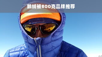 鹅绒被800克品牌推荐