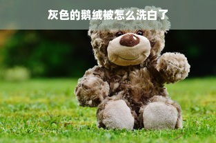 灰色的鹅绒被怎么洗白了