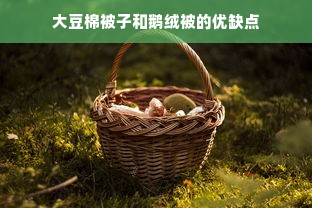 大豆棉被子和鹅绒被的优缺点