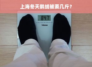 上海冬天鹅绒被要几斤？