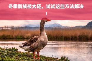 冬季鹅绒被太轻，试试这些方法解决！