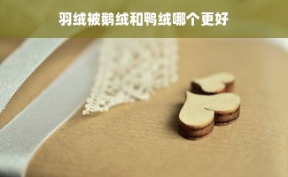 羽绒被鹅绒和鸭绒哪个更好