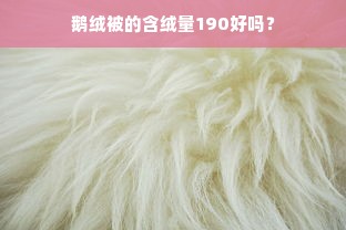 鹅绒被的含绒量190好吗？