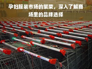 孕妇服装市场的繁荣，深入了解商场里的品牌选择