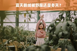 夏天鹅绒被舒服还是冬天？