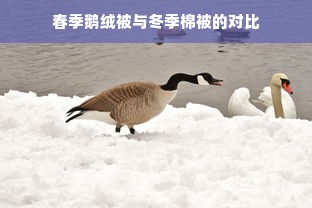 春季鹅绒被与冬季棉被的对比