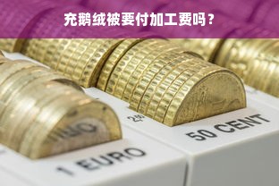 充鹅绒被要付加工费吗？