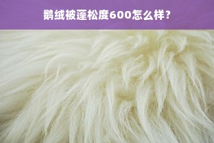 鹅绒被蓬松度600怎么样？