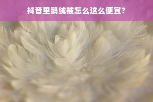 抖音里鹅绒被怎么这么便宜？