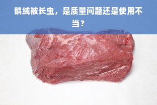 鹅绒被长虫，是质量问题还是使用不当？